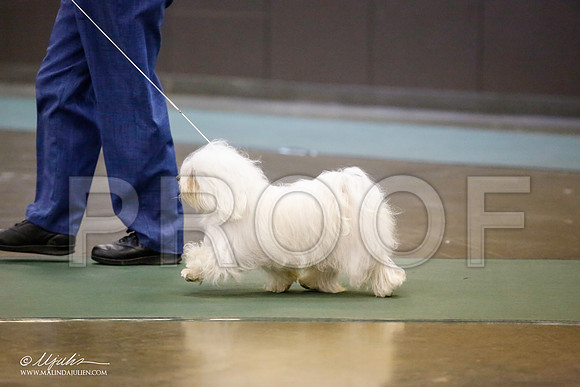 _JN_5755-BeltonJan2015-HR3