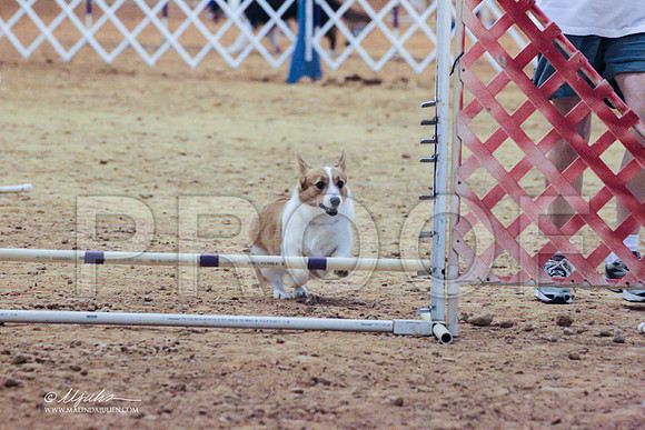 CorgPW-7925 PROOF
