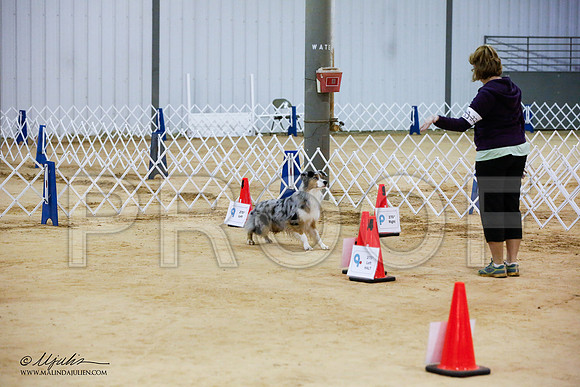 _JJ_3668-ASCACollegeStationNov2014-HR3