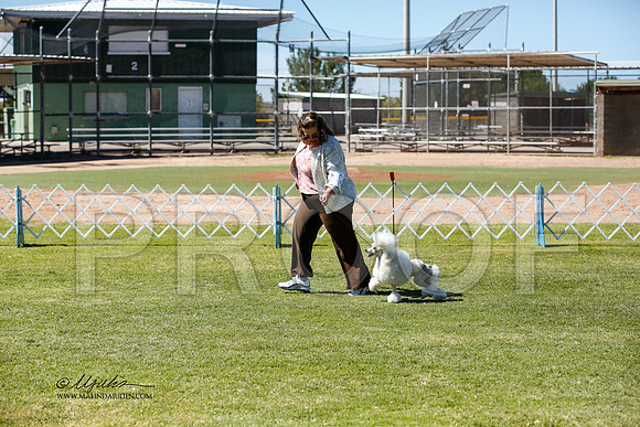 _JN_0982-AlamogordoOct2014-HR3