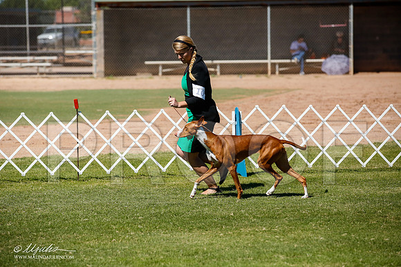 _JJ_7667-AlamogordoOct2014-HR3