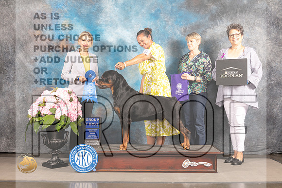 Rottweiler #15 Sat G1 Judge Patricia Sosa_MJ_7230_Houston_2022_HR3