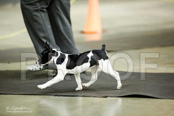 _JJ_5957-BeltonJan2015IABCA-HR3