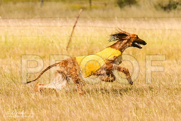 _MJ_5408-AfgBeltonOct2014-HR3