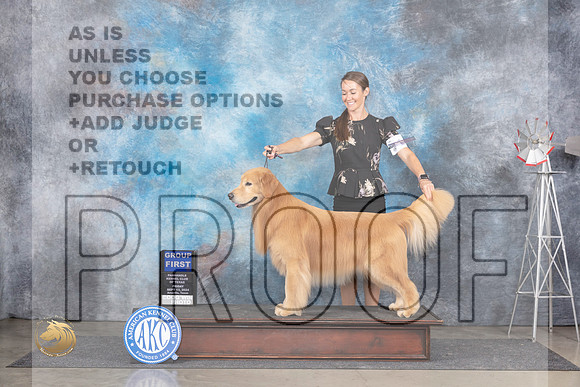 Golden Retriever #11 Fri G1 Judge Pat Trotter__JP_5624_Amarillo_2024_HR3