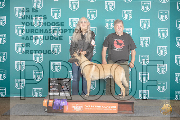 Beligian Shepherd Dog Malinois #123 BOB NT No Judge __JP_1678_Longview WA_2024_HR3