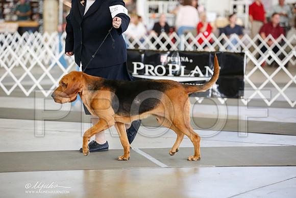 _JJ_3910-DallasJul2014-HR3