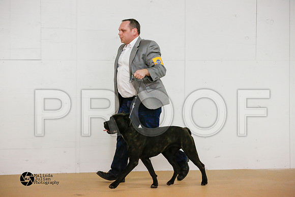 Guard--54-HtoJan2014-HR3