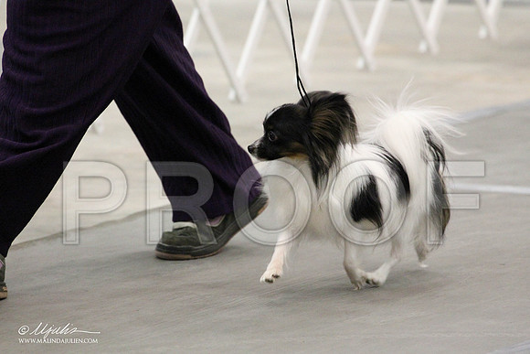 IMG_7481-Abilene2011-HR3