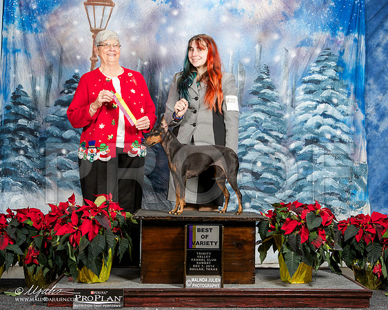 _ST_9343-DallasDec2014-HR3
