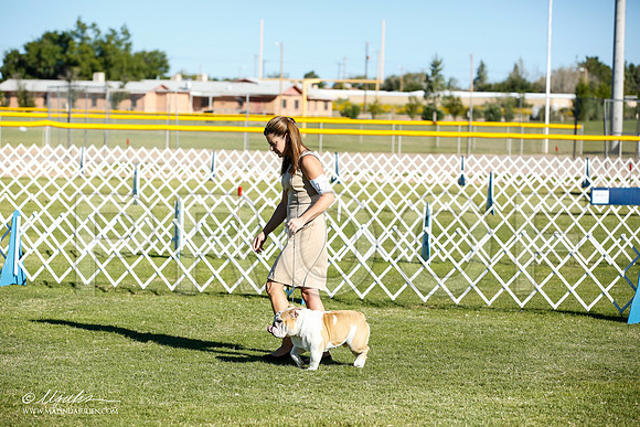 _JN_8312-AlamogordoOct2014-HR3