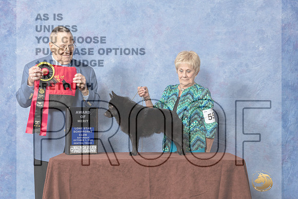 #55 AOM Judge Donald Gill-_CL_8919e_Schip_2022-HR3