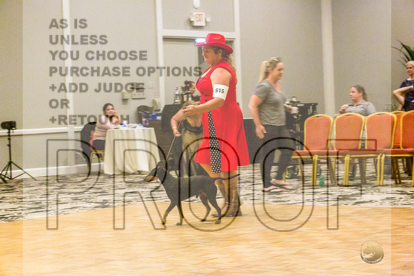 Manchester Terrier MTOY Candids-JJL_2235-Hstn2022_HR3