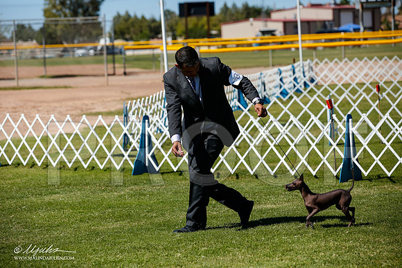 _JJ_8374-AlamogordoOct2014-HR3