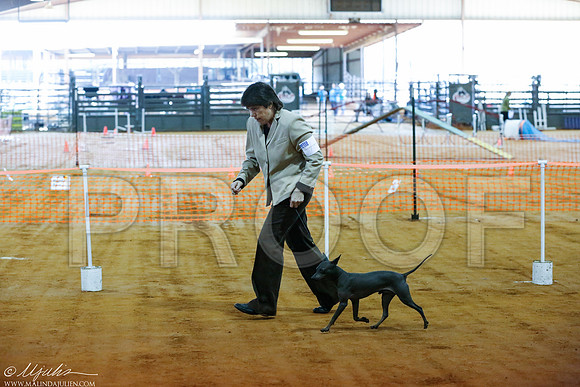 _RH_0691-MarshDec2014-HR