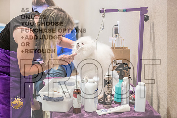 *Candids Pomeranian Fri JJL_3600_HstnTOY_2022_HR3