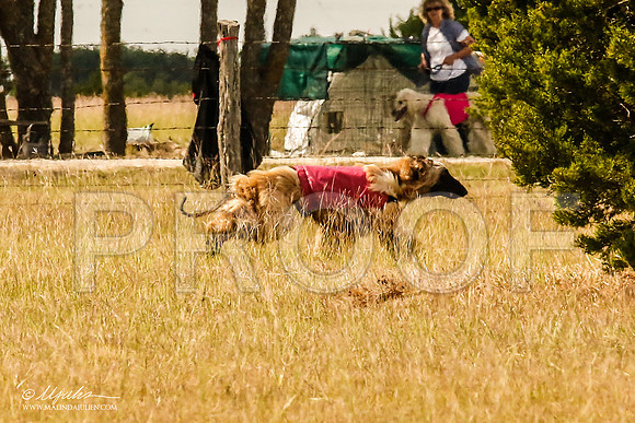 _MJ_5407-AfgBeltonOct2014-HR3