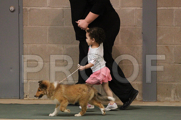 JuniorCCL_1277LR