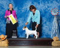 Russell Terriers #5 Thrs G3 Bitner Nita L Candace Lundin Agent Susan Line Judge Mrs Carolyn A Herbel