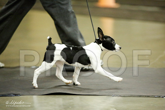 _JJ_5961-BeltonJan2015IABCA-HR3