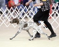 Audrey Reed Hutto Feb 2012