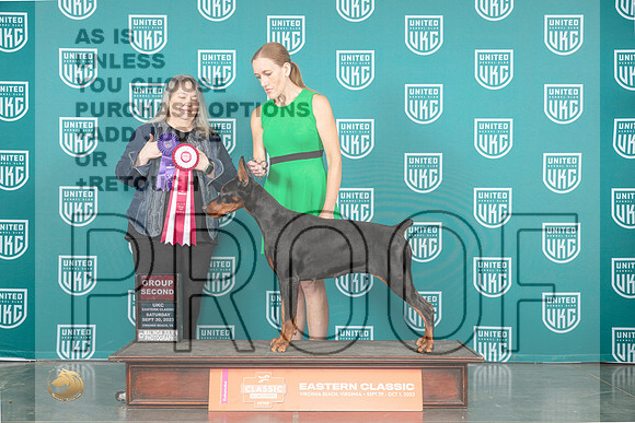 Doberman Pinscher #200 Sat G2 Judge Malinda Julien_JP_5720_UKCVA2023_HR3