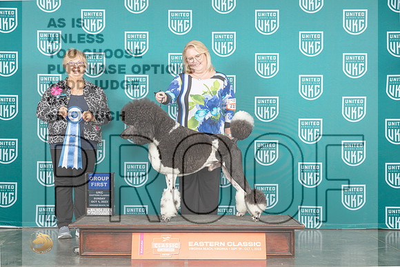 Poodle Std #217 Sun G1 Judge Mary Ellen Meyer_JP_5739_UKCVA2023_HR3