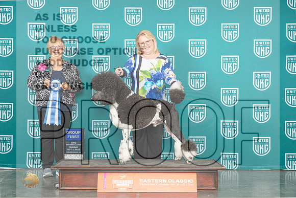 Poodle Std #217 Sun G1 Judge Mary Ellen Meyer_JP_5738_UKCVA2023_HR3