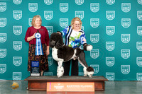 Poodle Std #217 Sun G1 Judge Tracy Kallas