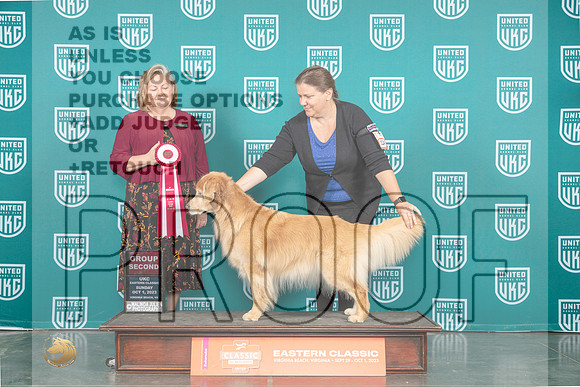Golden Retriever #124 Sun G2 Judge Tracey Kallas_JP_5742_UKCVA2023_HR3