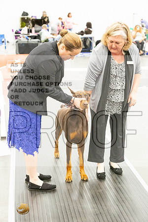 *CandidsJJL_5462_UKCVA2023_HR3