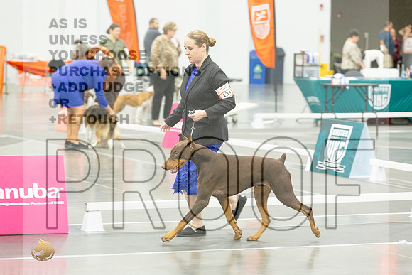 *CandidsJJL_5463_UKCVA2023_HR3