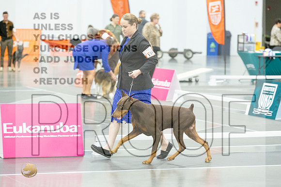*CandidsJJL_5464_UKCVA2023_HR3