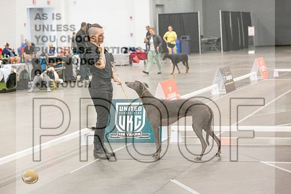 *Candids Altered Best in Show SatJJL_5513_UKCVA2023_HR3
