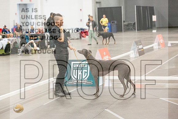 *Candids Altered Best in Show SatJJL_5514_UKCVA2023_HR3