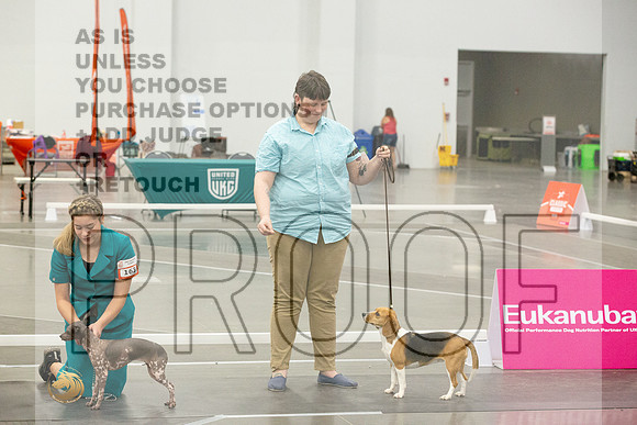 *Candids Altered Best in Show SatJJL_5521_UKCVA2023_HR3