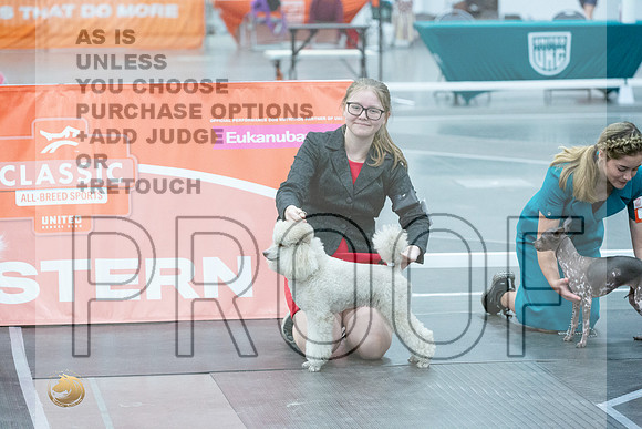 *Candids Altered Best in Show SatJJL_5518_UKCVA2023_HR3