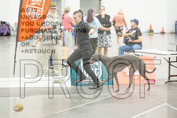 *Candids Altered Best in Show SatJJL_5528_UKCVA2023_HR3