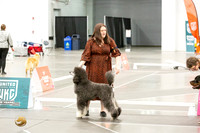 *Candids Best in Show Sat