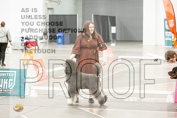 *Candids Best in Show SatJJL_5603_UKCVA2023_HR3