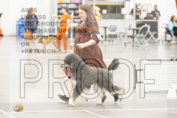 *Candids Best in Show SatJJL_5611_UKCVA2023_HR3