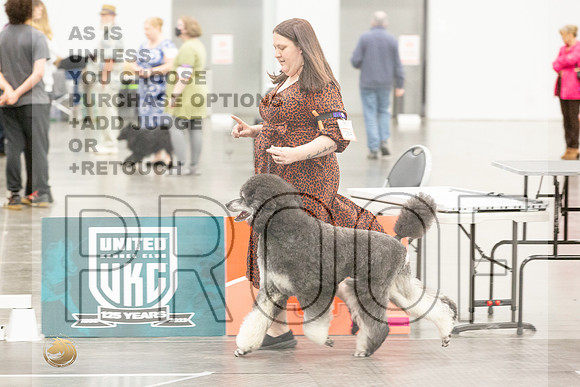 *Candids Best in Show SatJJL_5618_UKCVA2023_HR3