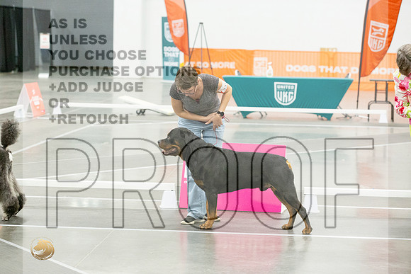 *Candids Best in Show SatJJL_5605_UKCVA2023_HR3