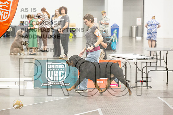 *Candids Best in Show SatJJL_5632_UKCVA2023_HR3
