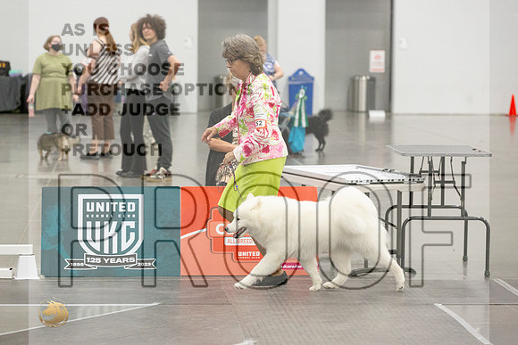 *Candids Best in Show SatJJL_5643_UKCVA2023_HR3