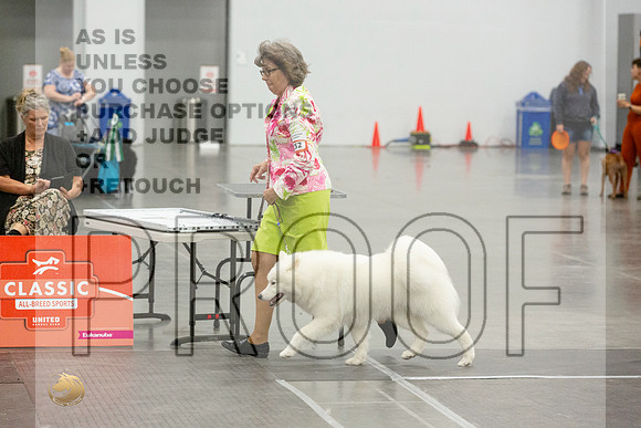 *Candids Best in Show SatJJL_5640_UKCVA2023_HR3