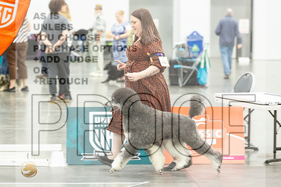 *Candids Best in Show SatJJL_5619_UKCVA2023_HR3