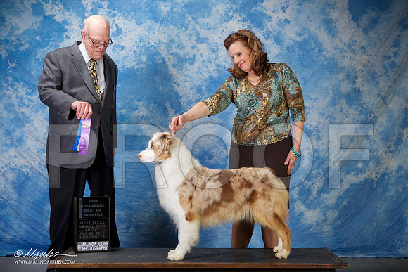 SS2_0675-BeltonJan2015IABCA-HR3