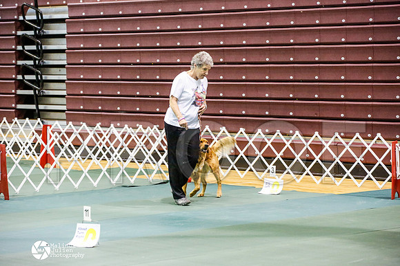 _JJ_4640-BsrCtyJun2014-HR3