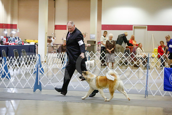_JJ_9352-AmarilloSept2014-HR3